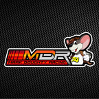 Race Logo Design