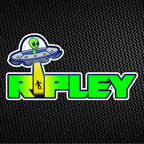 Race Logo Design
