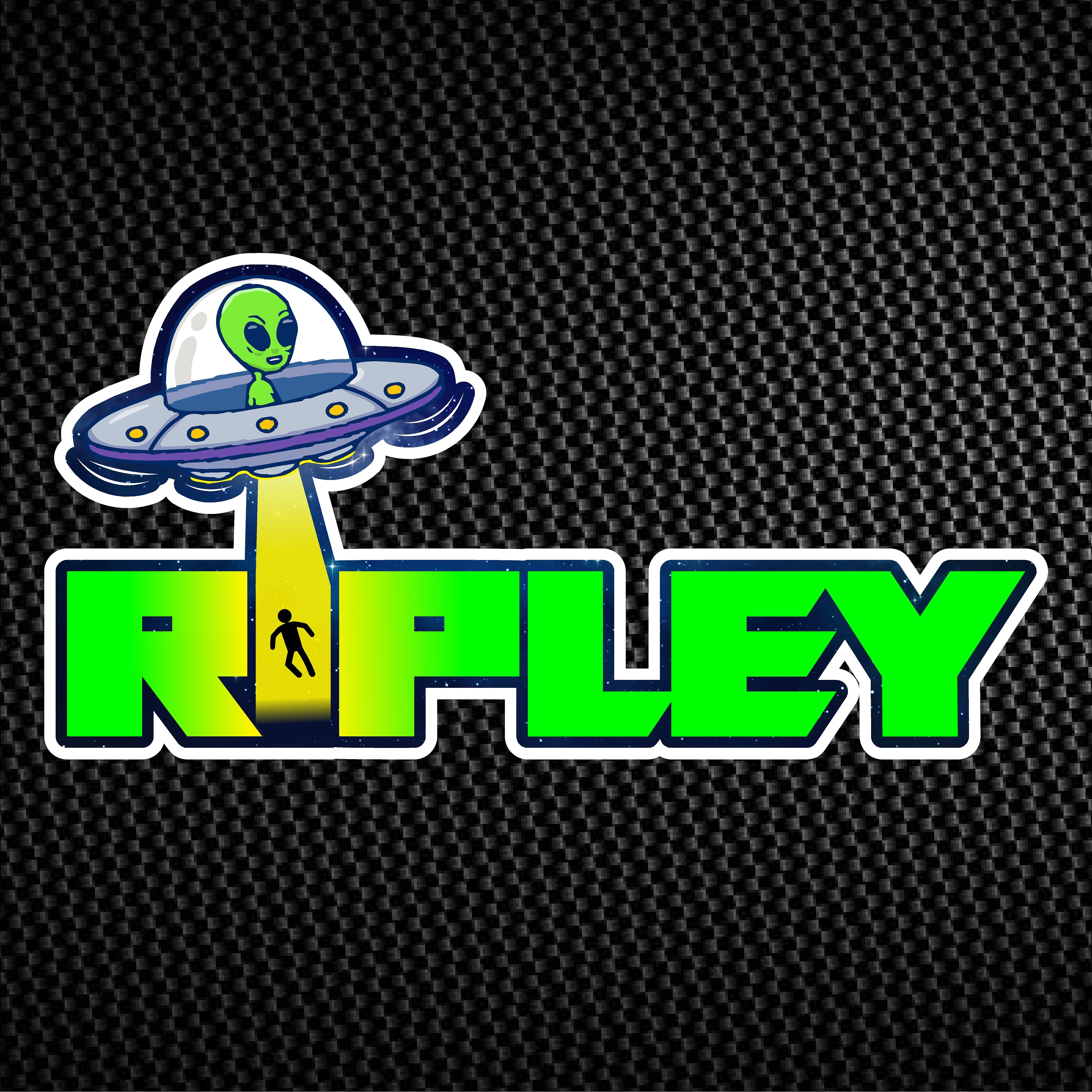 Race Logo Design